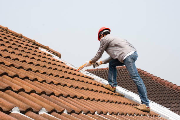 Best Chimney Flashing Repair  in Danville, PA